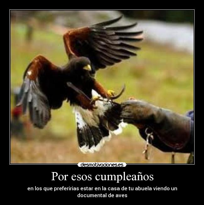 Por esos cumpleaños - en los que preferirias estar en la casa de tu abuela viendo un documental de aves