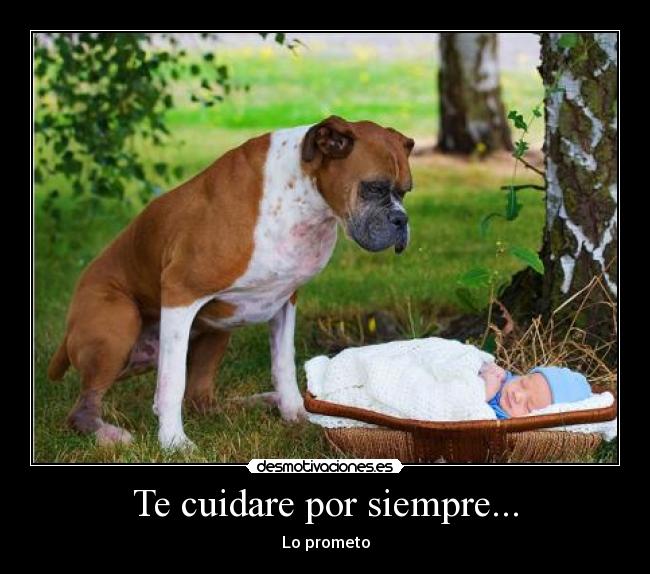 Te cuidare por siempre... - 