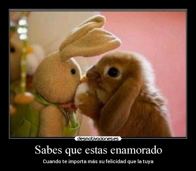 Sabes que estas enamorado -