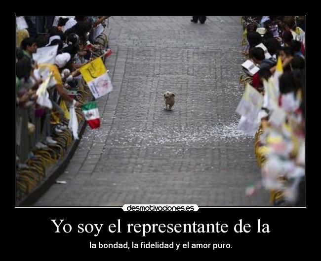 Yo soy el representante de la - 