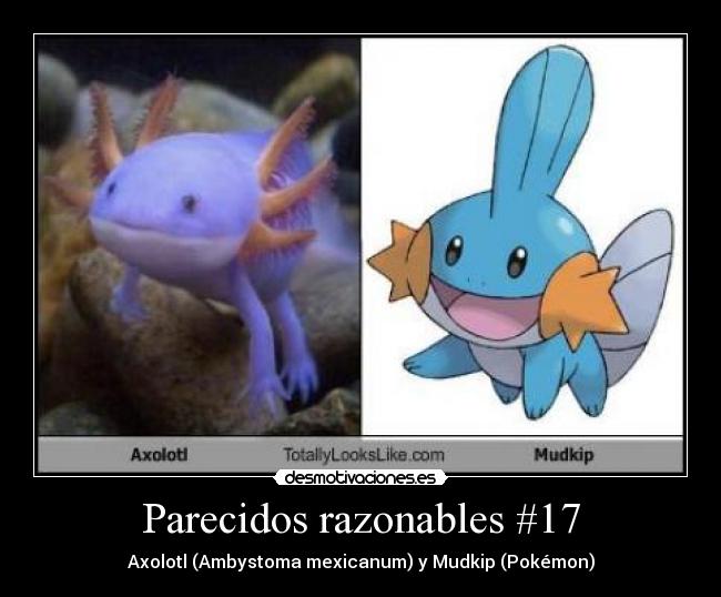 Parecidos razonables #17 -