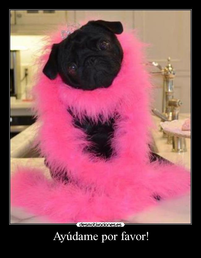 Ayúdame por favor! -