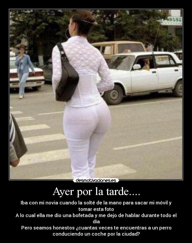 Ayer por la tarde.... - Iba con mi novia cuando la solté de la mano para sacar mi móvil y
tomar esta foto
A lo cual ella me dio una bofetada y me dejo de hablar durante todo el
día
Pero seamos honestos ¿cuantas veces te encuentras a un perro
conduciendo un coche por la ciudad?