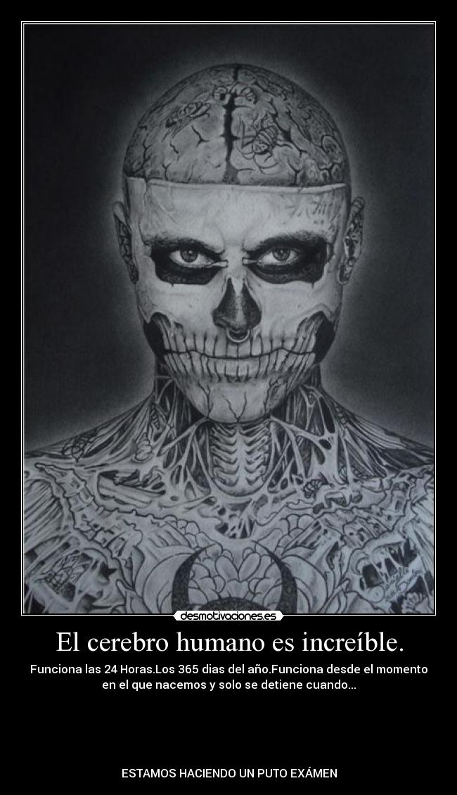 El cerebro humano es increíble. -