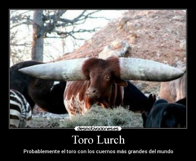 Toro Lurch -
