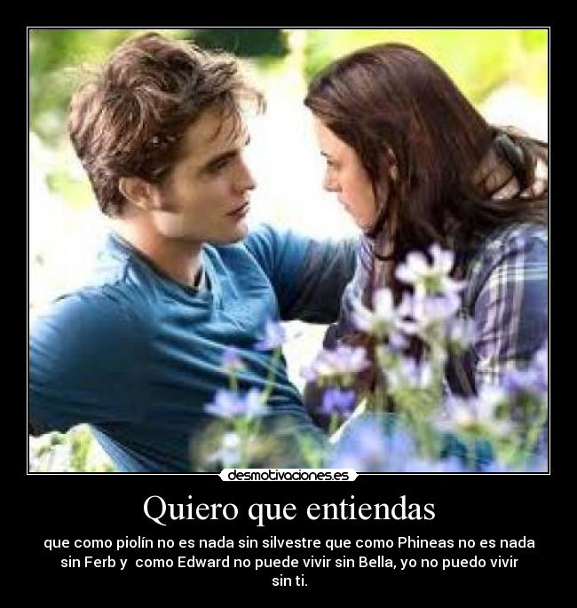 Quiero que entiendas -