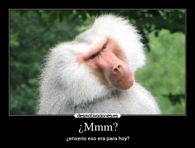 ¿Mmm? -