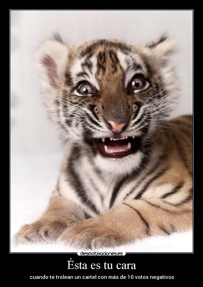 Ésta es tu cara -