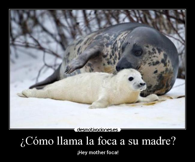 carteles madre madre desmotivaciones