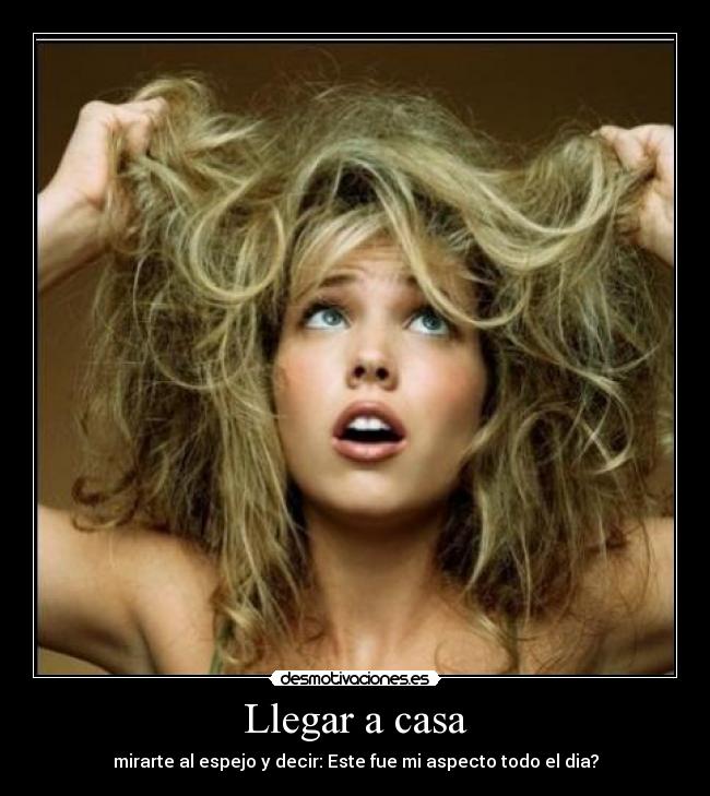 carteles casa sariita desmotivaciones