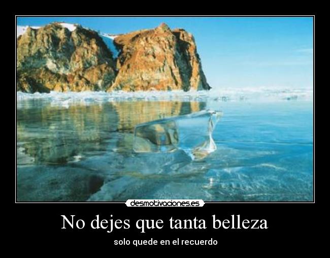 No dejes que tanta belleza - 
