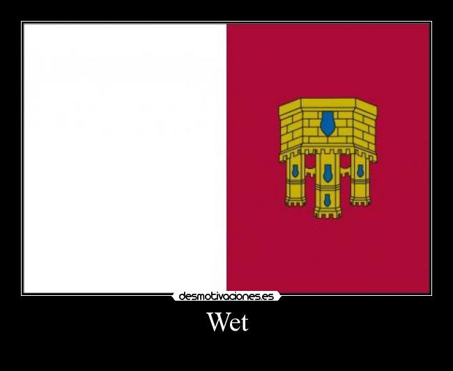 carteles wet desmotivaciones