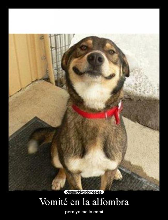 Vomité en la alfombra -