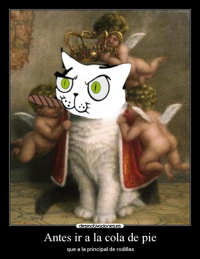 Antes ir a la cola de pie -