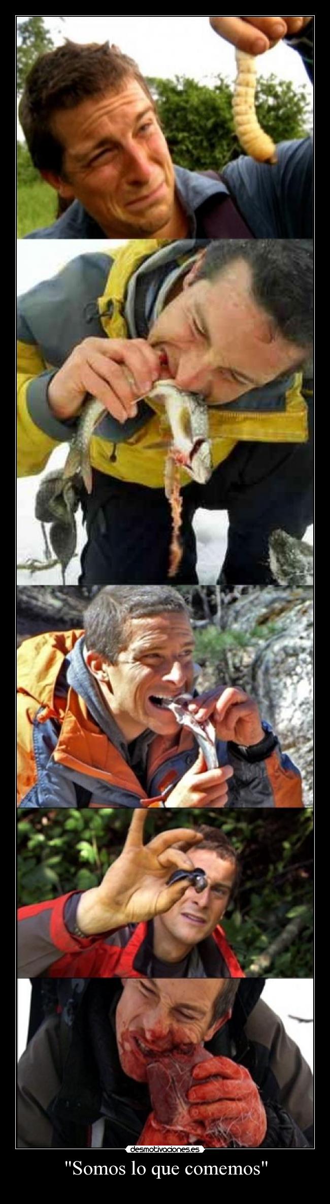 Somos lo que comemos -