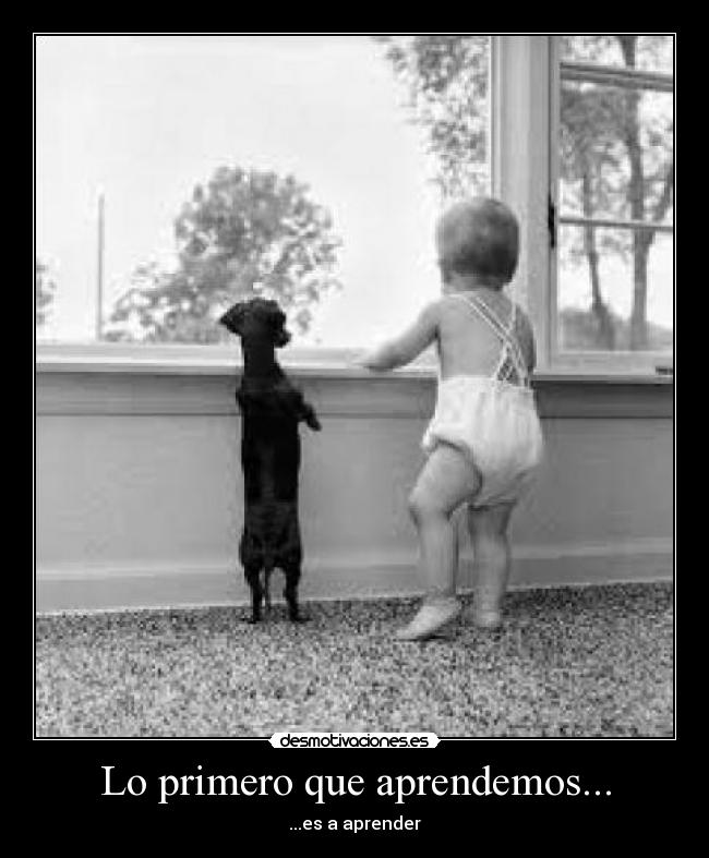 Lo primero que aprendemos... - 