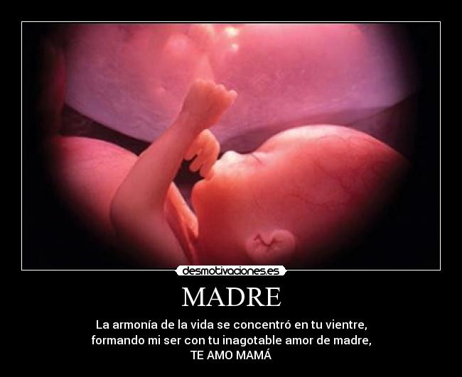 MADRE - La armonía de la vida se concentró en tu vientre,
formando mi ser con tu inagotable amor de madre,
TE AMO MAMÁ