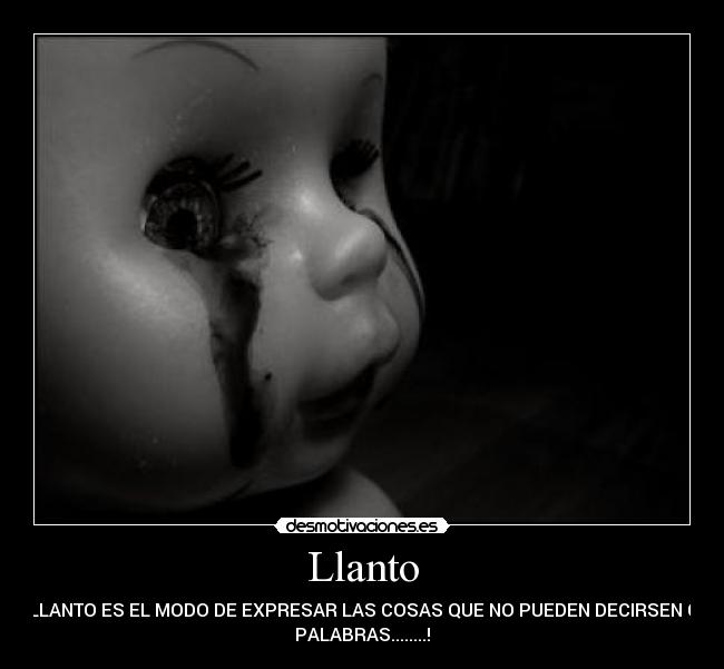 carteles danidmii desmotivaciones