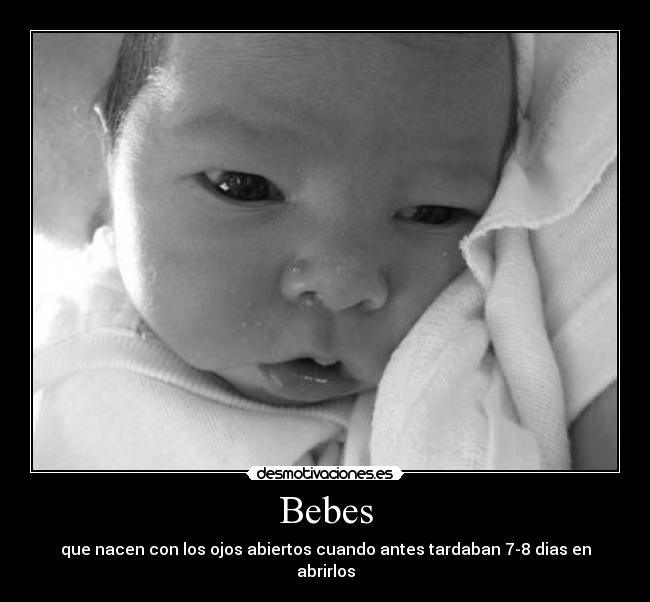 carteles bebes desmotivaciones