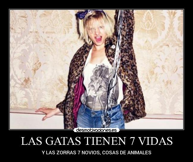 LAS GATAS TIENEN 7 VIDAS -