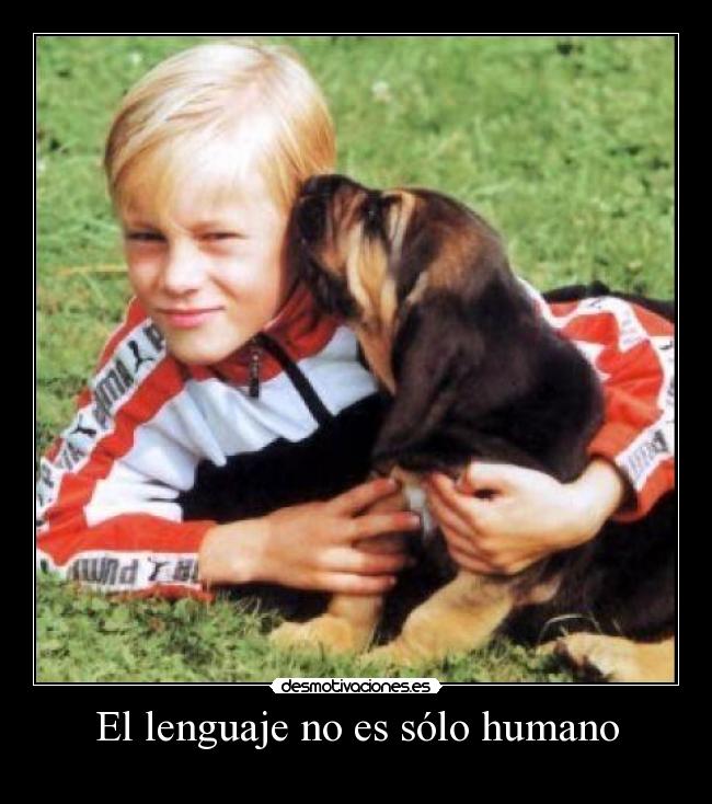 El lenguaje no es sólo humano -