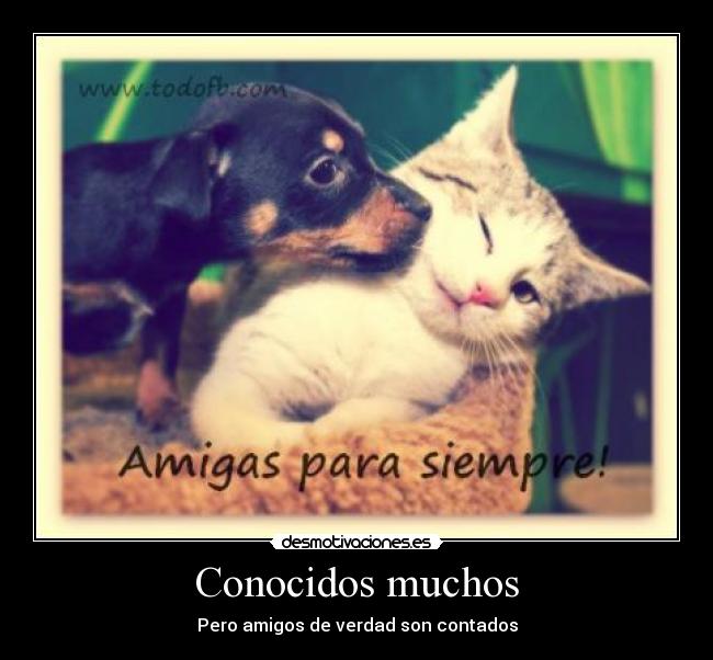 carteles conocidos muchos desmotivaciones