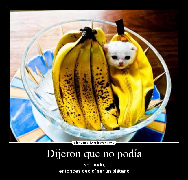 Dijeron que no podía - ser nada,
entonces decidí ser un plátano