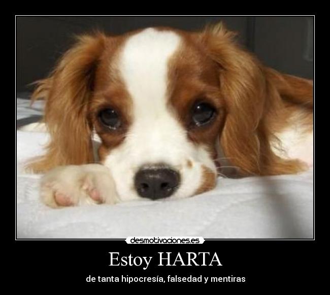 Estoy HARTA -