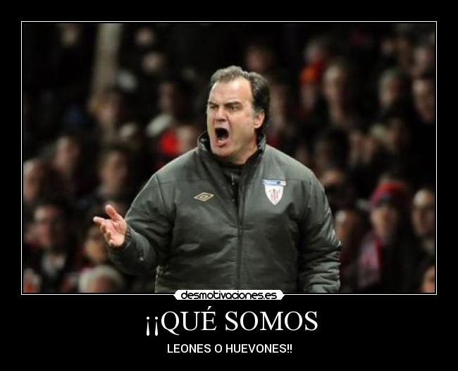 ¡¡QUÉ SOMOS - LEONES O HUEVONES!!