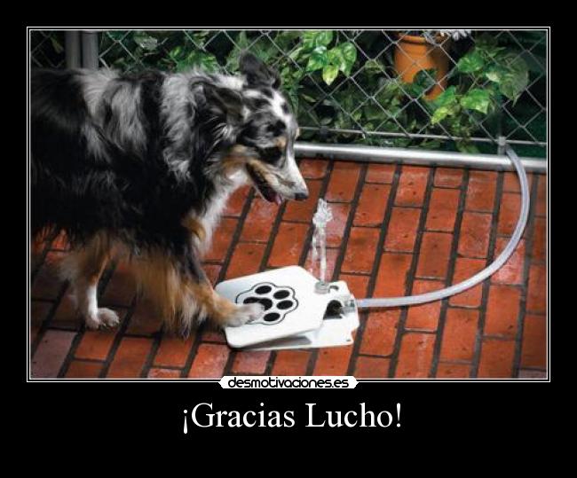 ¡Gracias Lucho! - 