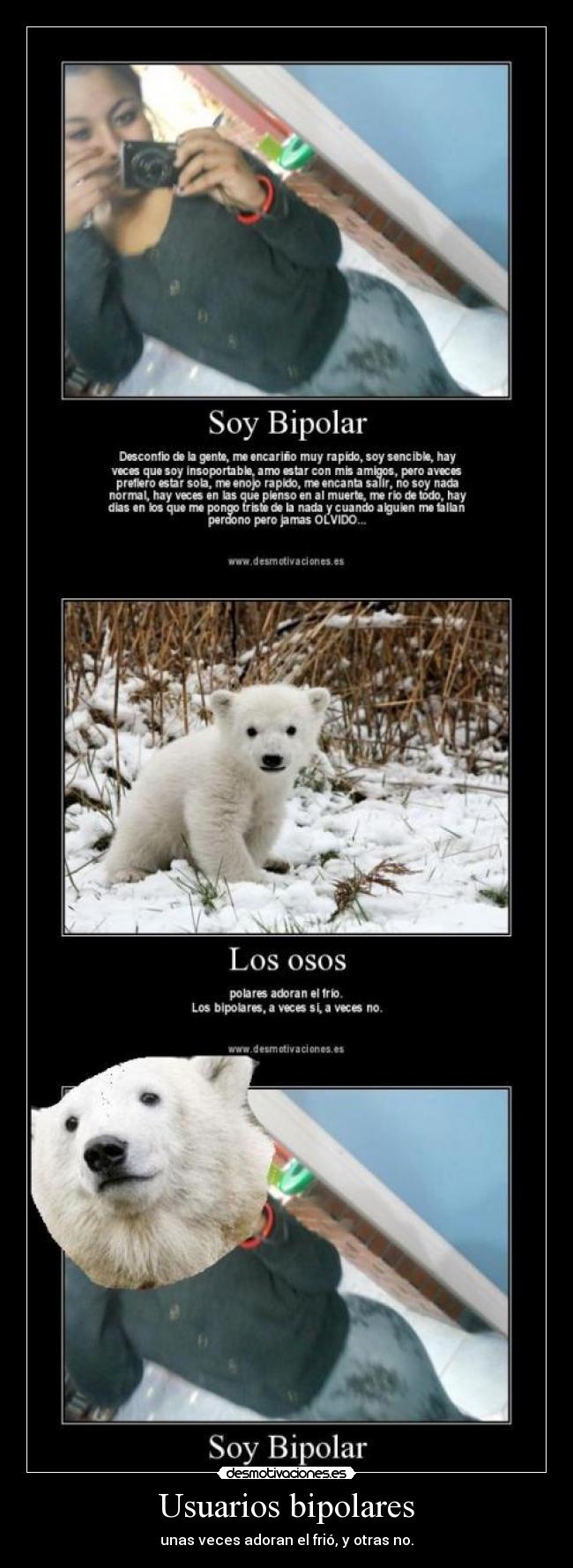 Usuarios bipolares - 