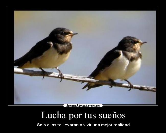 Lucha por tus sueños -