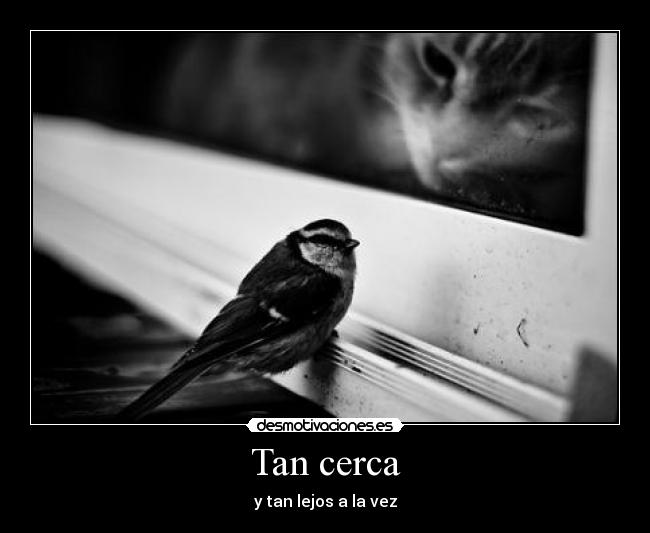 Tan cerca -