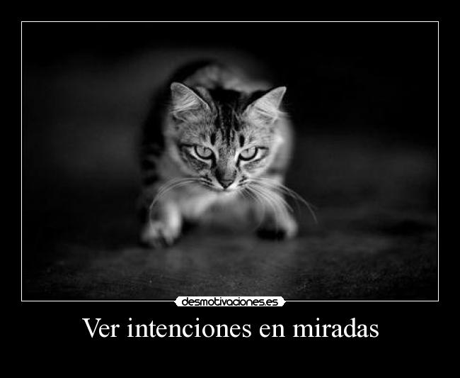 carteles desdelafrontera caramelodementa cerebrismortis 23tigres putostyle crema desmotivaciones