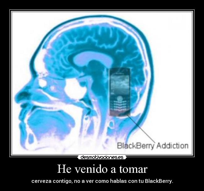 He venido a tomar - cerveza contigo, no a ver como hablas con tu BlackBerry.