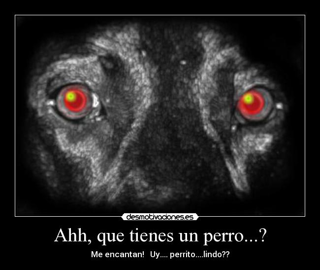 Ahh, que tienes un perro...? - Me encantan! Uy.... perrito....lindo??