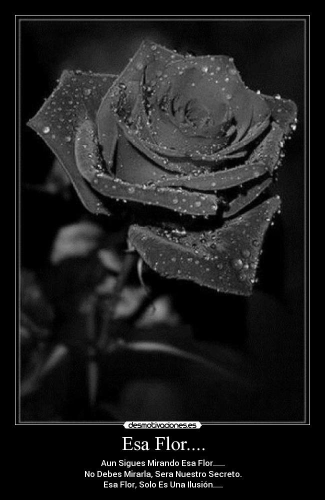 Esa Flor.... - Aun Sigues Mirando Esa Flor......
No Debes Mirarla, Sera Nuestro Secreto.
Esa Flor, Solo Es Una Ilusión.....