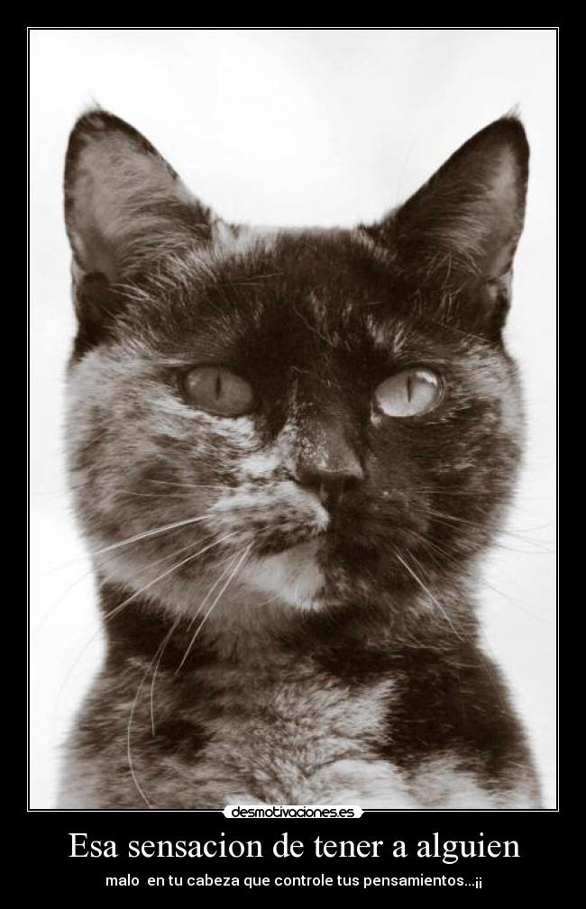 carteles jhoseb desmotivaciones