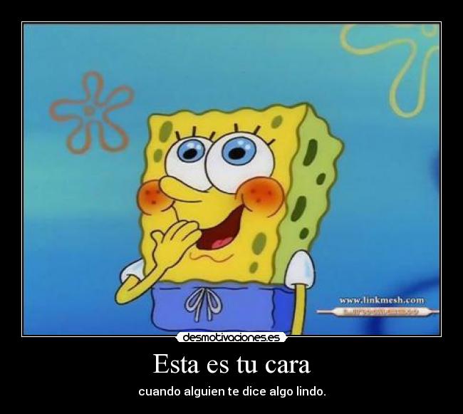 carteles bob esponja tete28 desmotivaciones