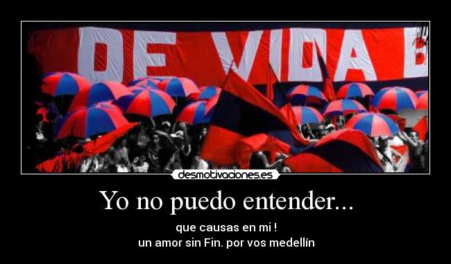 Yo no puedo entender... -