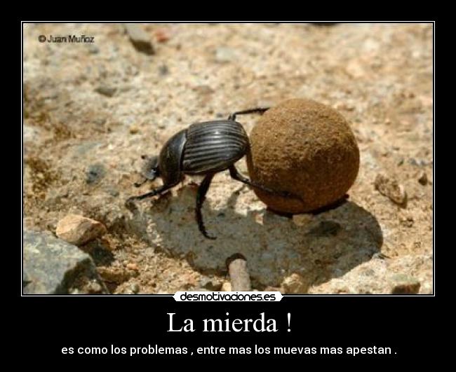 La mierda ! - es como los problemas , entre mas los muevas mas apestan .
