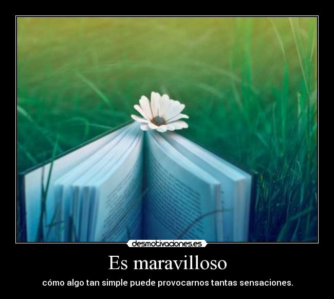 carteles libro como sinsajo harry potter perdona llamo amor memorias idhun desmotivaciones
