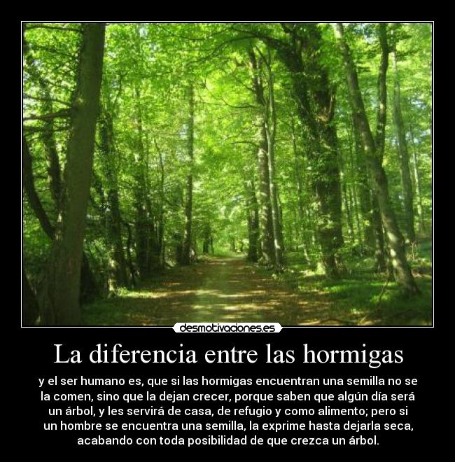 La diferencia entre las hormigas - y el ser humano es, que si las hormigas encuentran una semilla no se
la comen, sino que la dejan crecer, porque saben que algún día será
un árbol, y les servirá de casa, de refugio y como alimento; pero si
un hombre se encuentra una semilla, la exprime hasta dejarla seca,
acabando con toda posibilidad de que crezca un árbol.