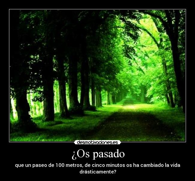 ¿Os pasado - que un paseo de 100 metros, de cinco minutos os ha cambiado la vida drásticamente?