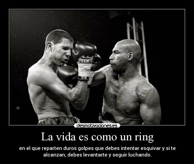 La vida es como un ring - en el que reparten duros golpes que debes intentar esquivar y si te
alcanzan, debes levantarte y seguir luchando.