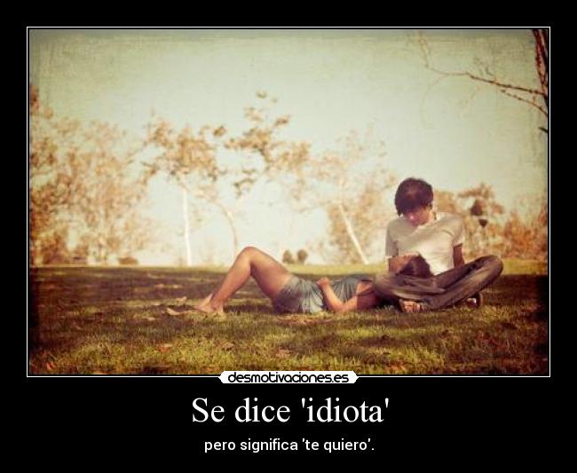 Se dice idiota - 