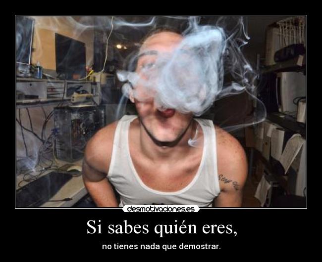 carteles sabes quien eres tienes nada que demostrar lulintvg desmotivaciones
