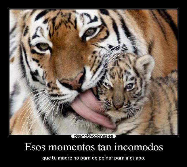 Esos momentos tan incomodos - 
