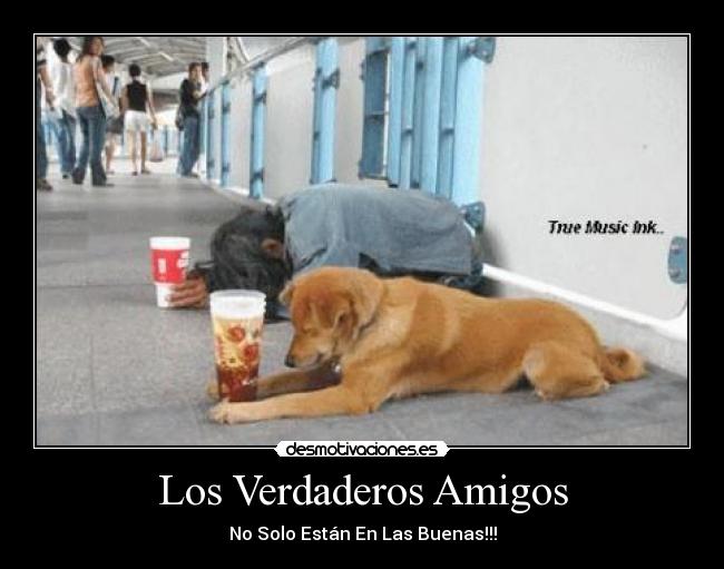 Los Verdaderos Amigos - No Solo Están En Las Buenas!!!