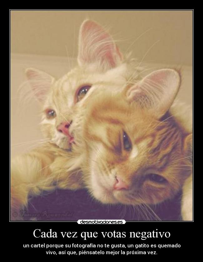 Cada vez que votas negativo - un cartel porque su fotografía no te gusta, un gatito es quemado
vivo, así que, piénsatelo mejor la próxima vez.